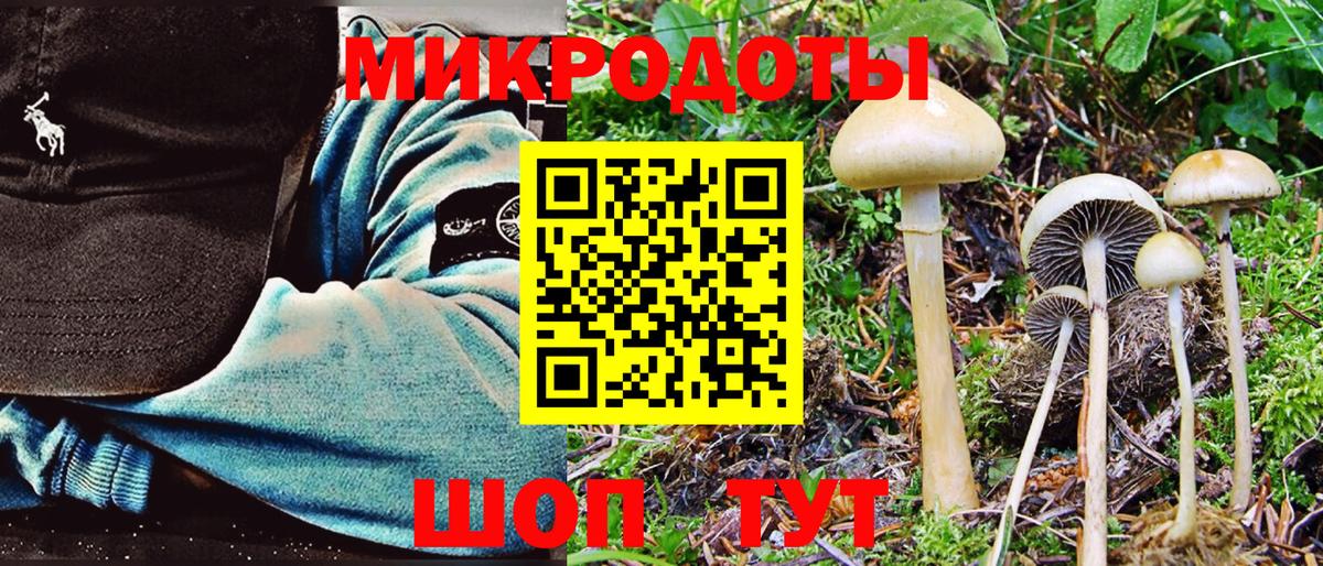 Псилоцибиновые грибы Psilocybe  Псилоцибиновые грибы мицелий  Тосно  Вход с VPN 