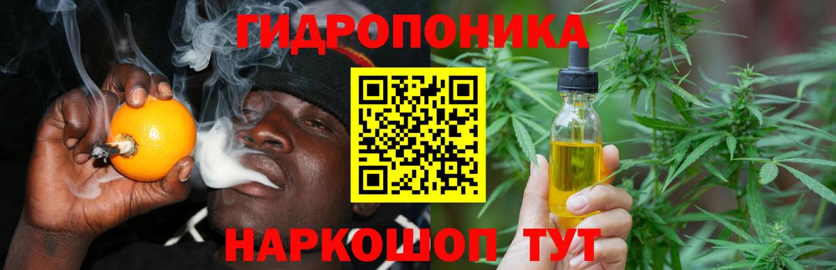Марихуана Ganja  Шишки марихуана VHQ  МАРИХУАНА планчик  Тосно  Канабис сатива  Вход с VPN 